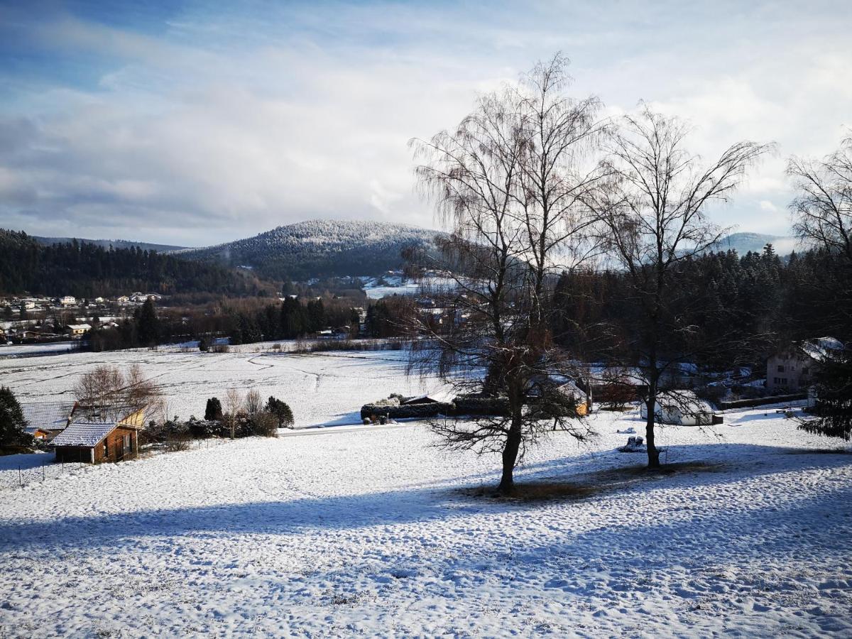 Chalet A L'Oree Du Bois Le Tholy Bagian luar foto