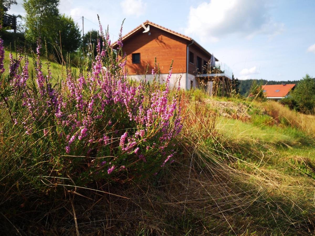 Chalet A L'Oree Du Bois Le Tholy Bagian luar foto