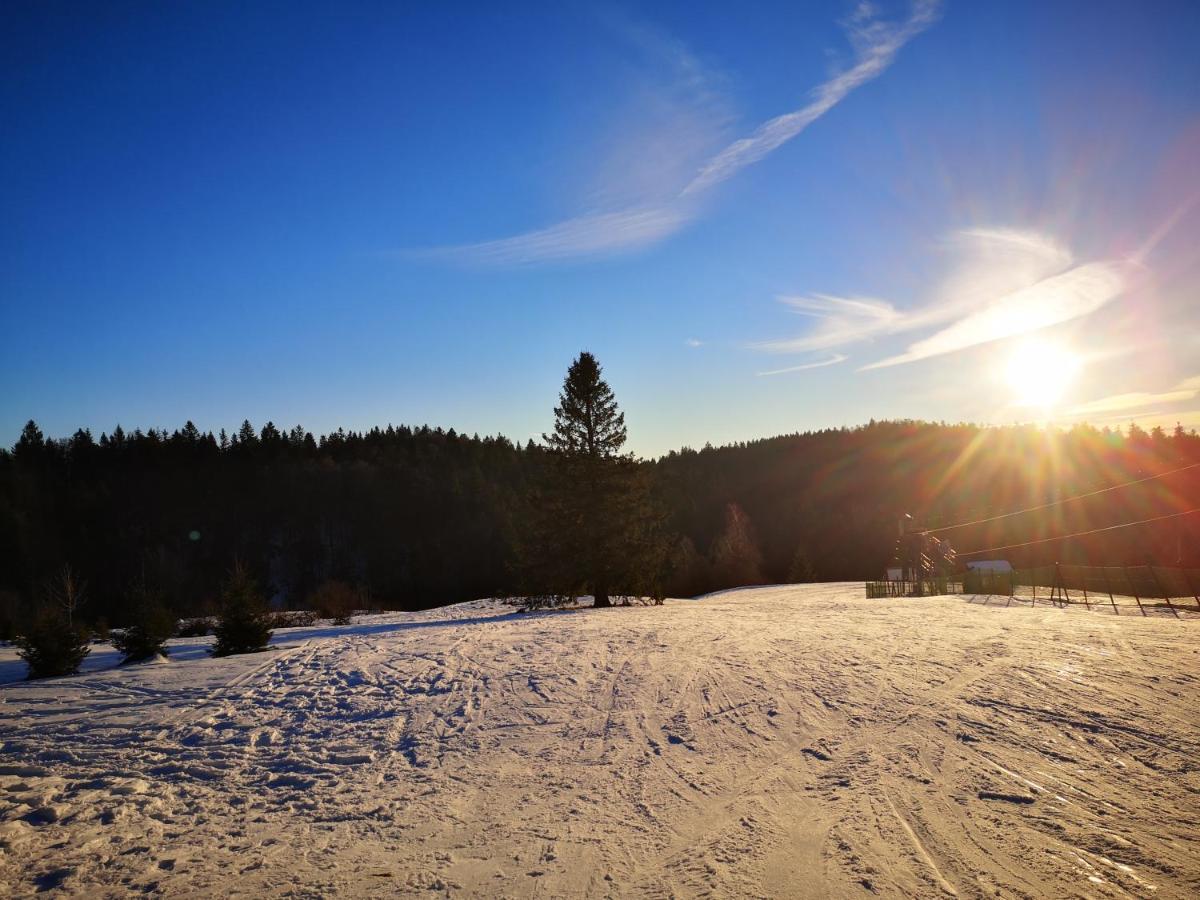 Chalet A L'Oree Du Bois Le Tholy Bagian luar foto