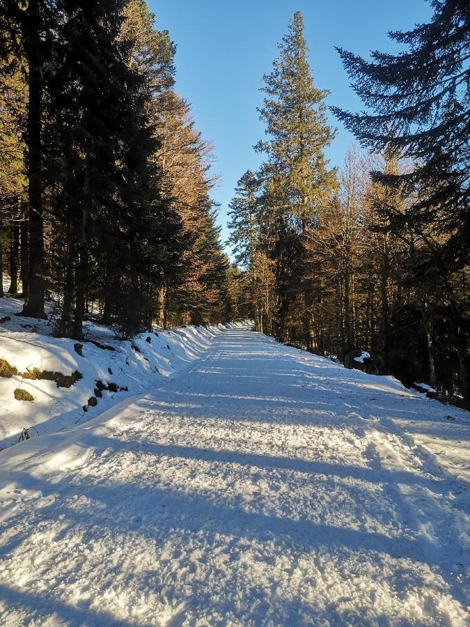 Chalet A L'Oree Du Bois Le Tholy Bagian luar foto